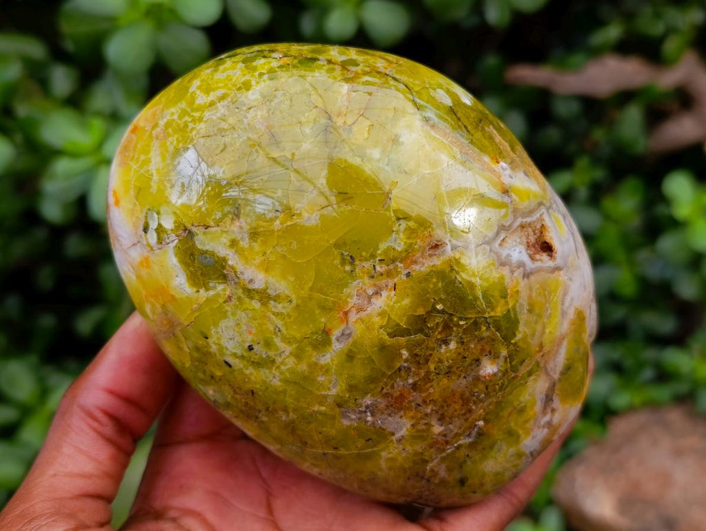 Polished Green Opal Standing Free Forms x 2 From Betroka, Madagascar