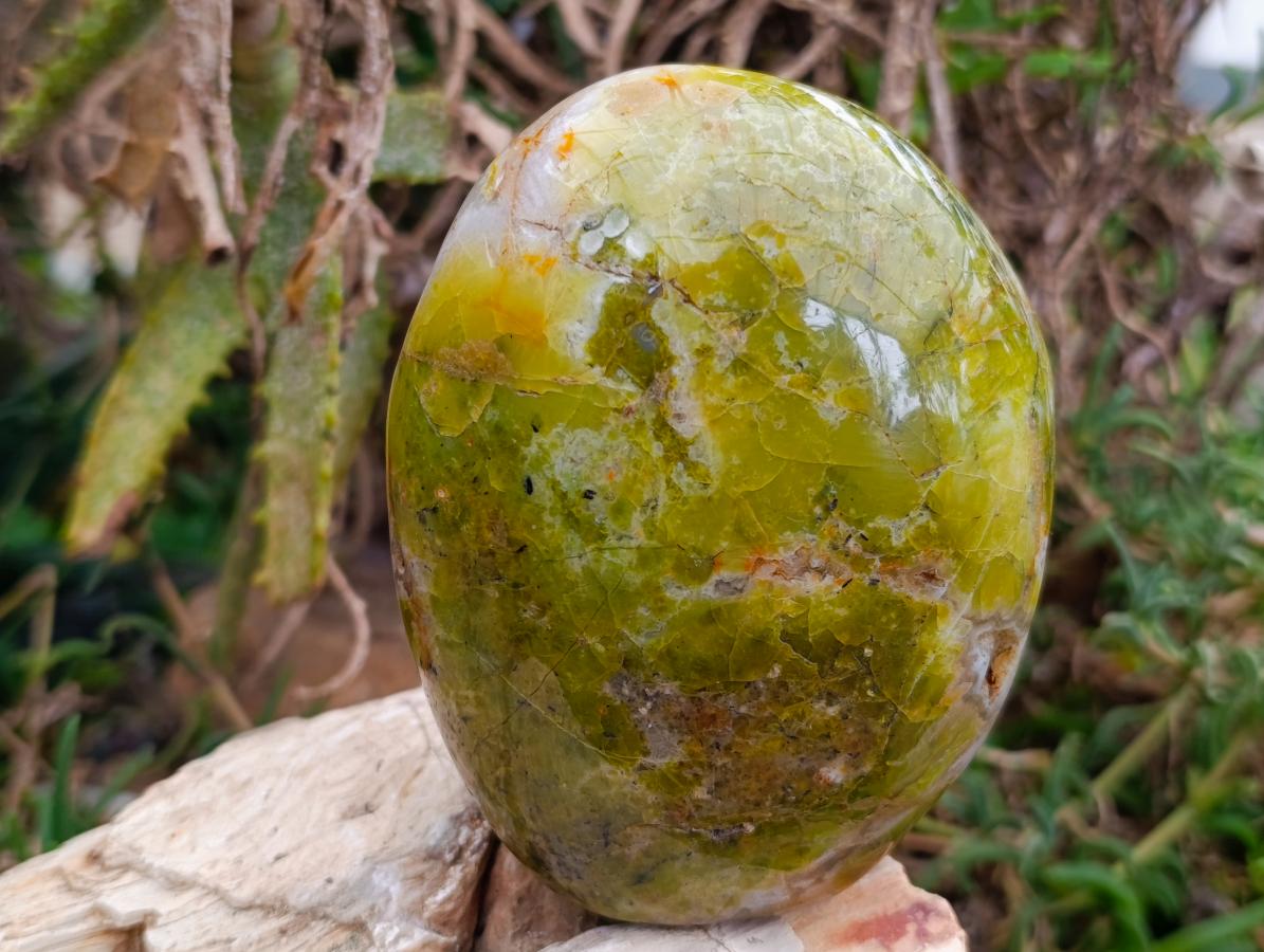 Polished Green Opal Standing Free Forms x 2 From Betroka, Madagascar