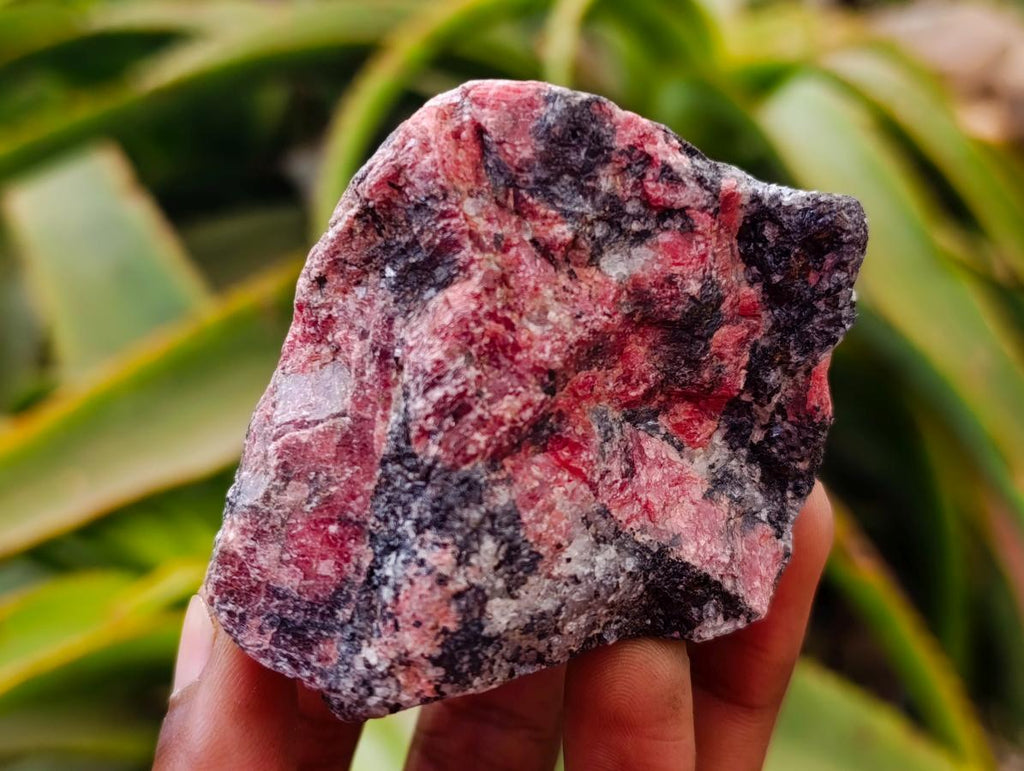 Natural Rhodonite Cobbed Specimens x 8 From Rhusinga, Zimbabwe