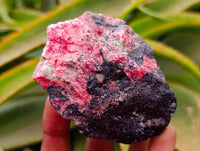 Natural Rhodonite Cobbed Specimens x 8 From Rhusinga, Zimbabwe