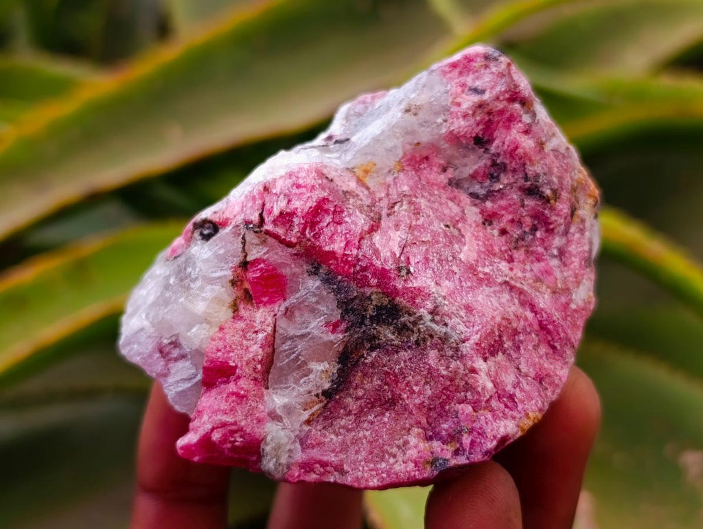 Natural Rhodonite Cobbed Specimens x 8 From Rhusinga, Zimbabwe