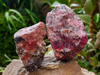 Natural Rhodonite Cobbed Specimens x 8 From Rhusinga, Zimbabwe
