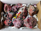 Natural Rhodonite Cobbed Specimens x 8 From Rhusinga, Zimbabwe