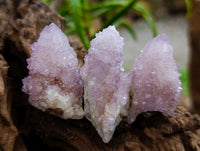 Natural Sunburst Amethyst Spirit Crystals x 20 From Boekenhouthoek, South Africa