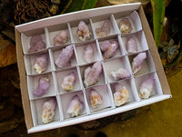 Natural Sunburst Amethyst Spirit Crystals x 20 From Boekenhouthoek, South Africa