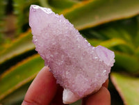 Natural Sunburst Amethyst Spirit Crystals x 20 From Boekenhouthoek, South Africa
