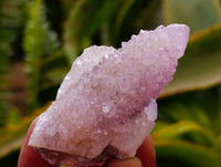 Natural Sunburst Amethyst Spirit Crystals x 20 From Boekenhouthoek, South Africa