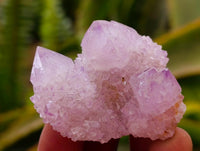 Natural Sunburst Amethyst Spirit Crystals x 20 From Boekenhouthoek, South Africa