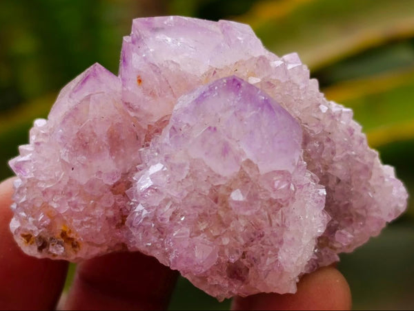Natural Sunburst Amethyst Spirit Crystals x 20 From Boekenhouthoek, South Africa