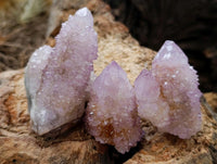Natural Sunburst Amethyst Spirit Crystals x 20 From Boekenhouthoek, South Africa