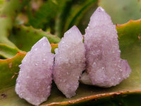 Natural Sunburst Amethyst Spirit Crystals x 20 From Boekenhouthoek, South Africa
