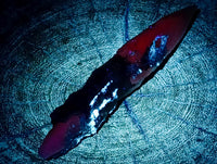 Natural Drusy Quartz Coated Spearhead Calcite Specimens x 24 From Albert's Mountain, Lesotho