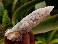 Natural Drusy Quartz Coated Spearhead Calcite Specimens x 24 From Albert's Mountain, Lesotho