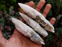 Natural Drusy Quartz Coated Spearhead Calcite Specimens x 24 From Albert's Mountain, Lesotho