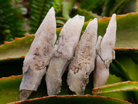 Natural Drusy Quartz Coated Spearhead Calcite Specimens x 24 From Albert's Mountain, Lesotho