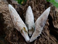 Natural Drusy Quartz Coated Spearhead Calcite Specimens x 24 From Albert's Mountain, Lesotho
