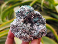 Natural Emerald Mica 'Mutokolite' Cobbed Specimens x 10 From Mutoko, Zimbabwe