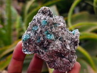 Natural Emerald Mica 'Mutokolite' Cobbed Specimens x 10 From Mutoko, Zimbabwe