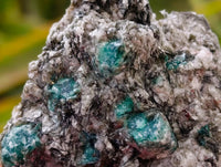 Natural Emerald Mica 'Mutokolite' Cobbed Specimens x 10 From Mutoko, Zimbabwe