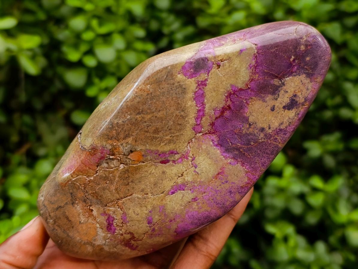 Polished Stichtite Free Forms x 2 From Barberton, South Africa