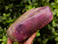 Polished Stichtite Free Forms x 2 From Barberton, South Africa