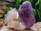Natural Window Amethyst Crystals x 4 From Akansobe, Madagascar