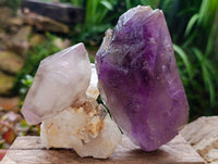 Natural Window Amethyst Crystals x 4 From Akansobe, Madagascar