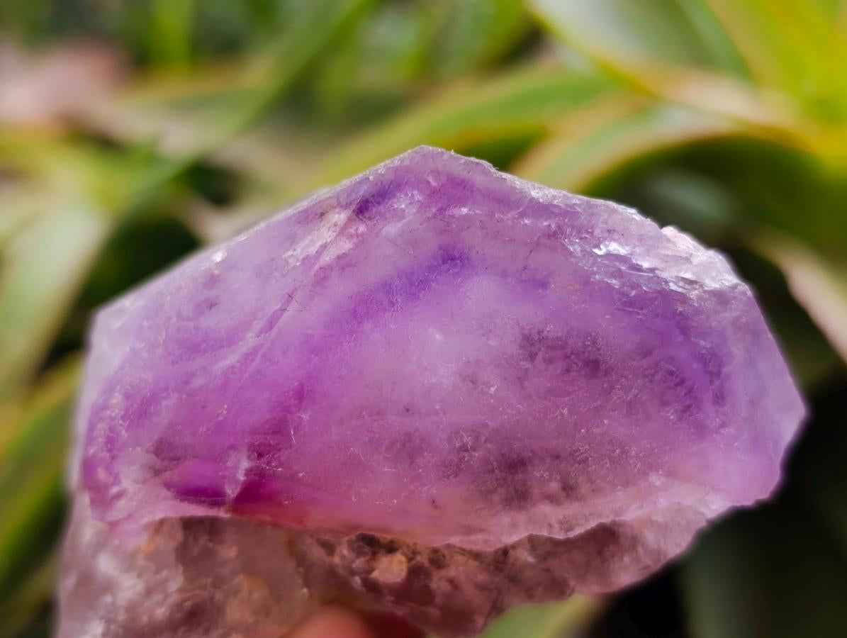 Natural Window Amethyst Crystals x 4 From Akansobe, Madagascar