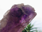 Natural Window Amethyst Crystals x 4 From Akansobe, Madagascar