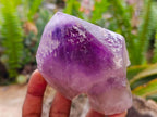 Natural Window Amethyst Crystals x 4 From Akansobe, Madagascar