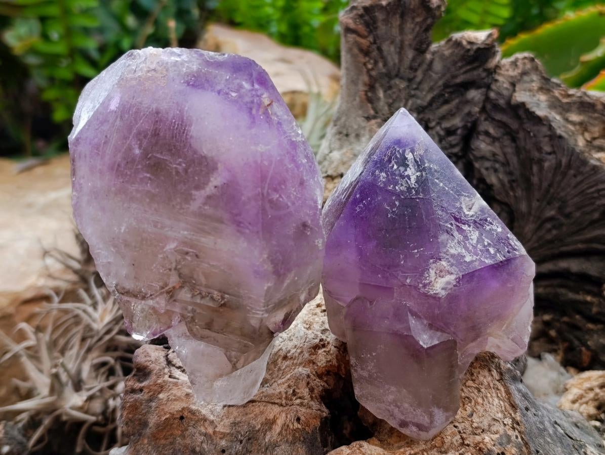 Natural Window Amethyst Crystals x 4 From Akansobe, Madagascar