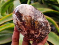 Polished Red Podocarpus Petrified Wood Standing Free Forms x 6 From Mahajanga, Madagascar