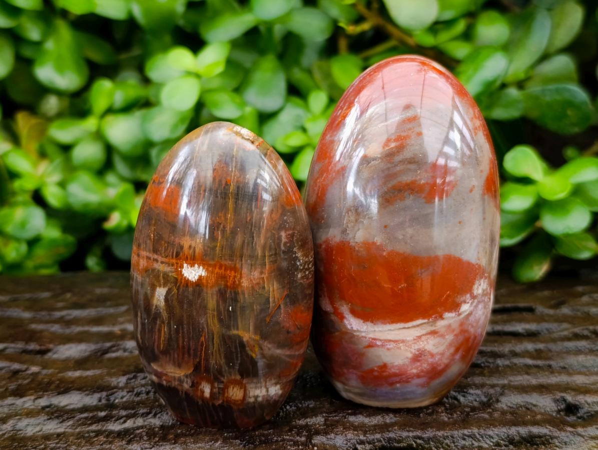 Polished Red Podocarpus Petrified Wood Standing Free Forms x 6 From Mahajanga, Madagascar - Toprock Gemstones and Minerals 