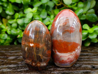 Polished Red Podocarpus Petrified Wood Standing Free Forms x 6 From Mahajanga, Madagascar
