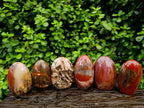 Polished Red Podocarpus Petrified Wood Standing Free Forms x 6 From Mahajanga, Madagascar - Toprock Gemstones and Minerals 