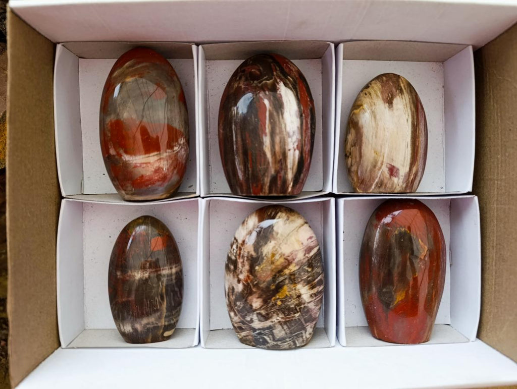 Polished Red Podocarpus Petrified Wood Standing Free Forms x 6 From Mahajanga, Madagascar - Toprock Gemstones and Minerals 
