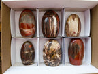 Polished Red Podocarpus Petrified Wood Standing Free Forms x 6 From Mahajanga, Madagascar - Toprock Gemstones and Minerals 