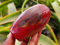 Polished Red Podocarpus Petrified Wood Standing Free Forms x 6 From Mahajanga, Madagascar