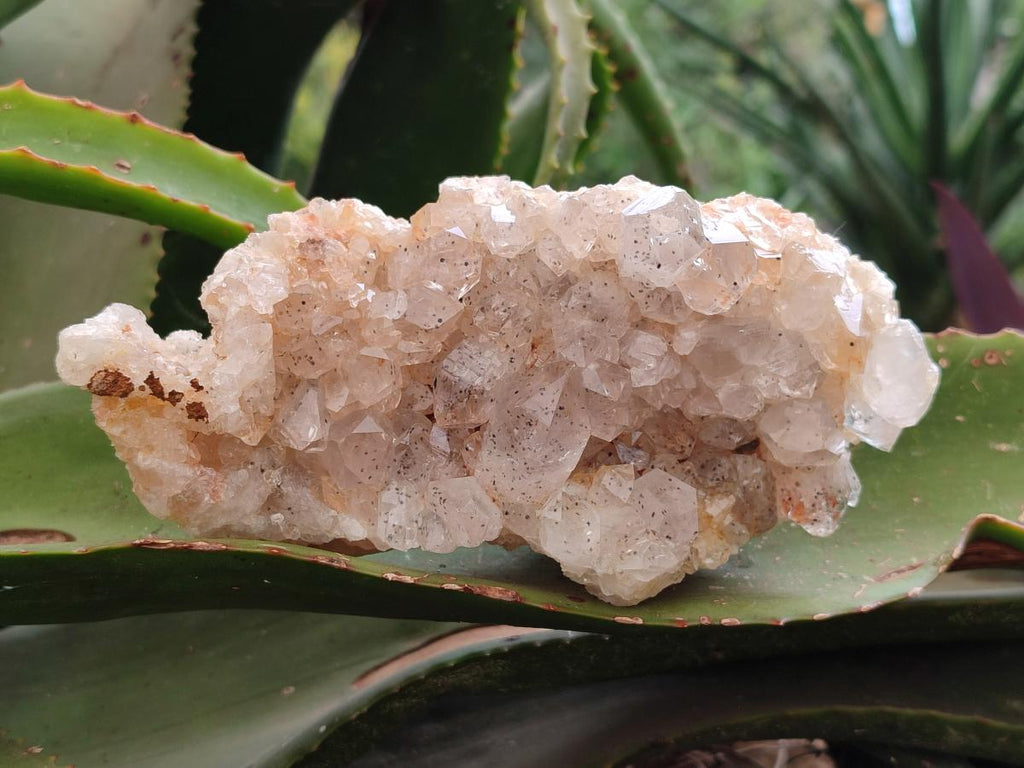 Natural Limonite Quartz Clusters x 4 From Solwezi, Zambia