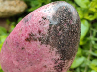 Polished Rhodonite Standing Free Forms x 2 From Ambindavato, Madagascar