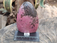 Polished Rhodonite Standing Free Forms x 2 From Ambindavato, Madagascar