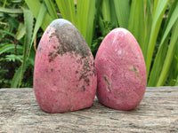 Polished Rhodonite Standing Free Forms x 2 From Ambindavato, Madagascar