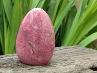 Polished Rhodonite Standing Free Forms x 2 From Ambindavato, Madagascar