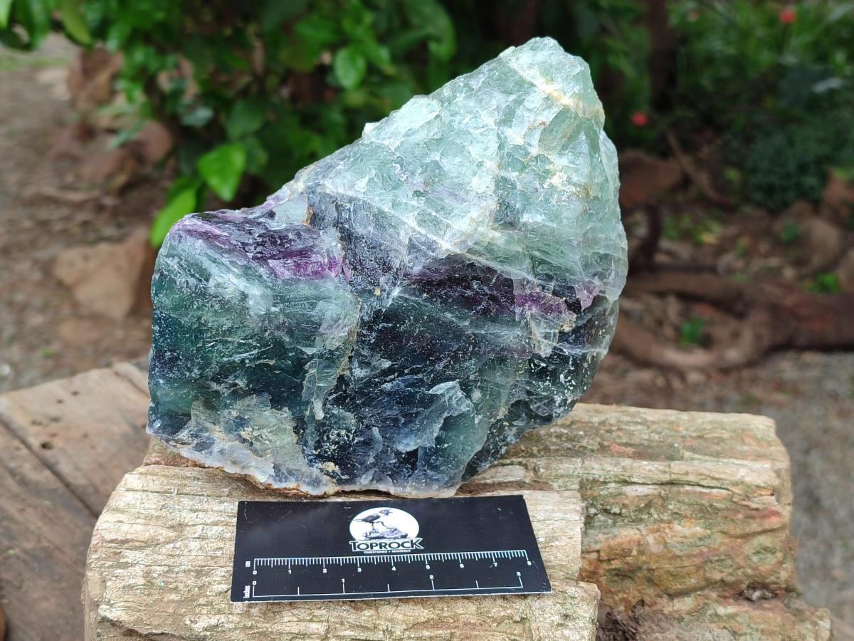 Natural Watermelon Fluorite Cobbed Specimens x 2 From Uis, Namibia