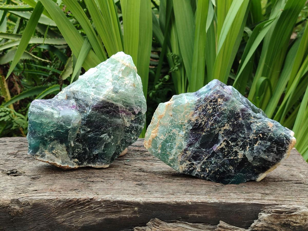 Natural Watermelon Fluorite Cobbed Specimens x 2 From Uis, Namibia