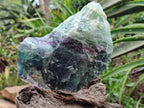 Natural Watermelon Fluorite Cobbed Specimens x 2 From Uis, Namibia