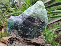 Natural Watermelon Fluorite Cobbed Specimens x 2 From Uis, Namibia