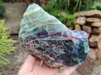 Natural Watermelon Fluorite Cobbed Specimens x 2 From Uis, Namibia