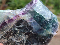 Natural Watermelon Fluorite Cobbed Specimens x 2 From Uis, Namibia