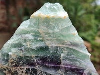 Natural Watermelon Fluorite Cobbed Specimens x 2 From Uis, Namibia